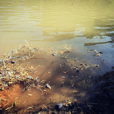 Conclusosi l’ atto rituale e condiviso lasciare che raggiungano il mare | dal fiume Topino, passando per il Tevere.